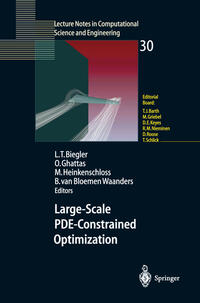 Large-Scale PDE-Constrained Optimization