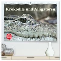 Krokodile und Alligatoren (hochwertiger Premium Wandkalender 2025 DIN A2 quer), Kunstdruck in Hochglanz