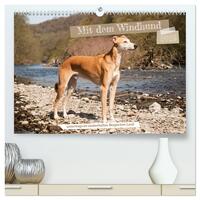 Mit dem Windhund unterwegs im zauberhaften Bergischen Land (hochwertiger Premium Wandkalender 2025 DIN A2 quer), Kunstdruck in Hochglanz