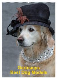 Germanys Best Dog Models - gestylte Labrador und Golden Retriever (Wandkalender 2025 DIN A2 hoch), CALVENDO Monatskalender