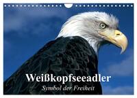 Weißkopfseeadler. Symbol der Freiheit (Wandkalender 2025 DIN A4 quer), CALVENDO Monatskalender