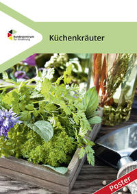 Küchenkräuter - Poster