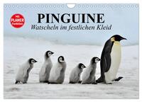 Pinguine - Watscheln im festlichen Kleid (Wandkalender 2025 DIN A4 quer), CALVENDO Monatskalender