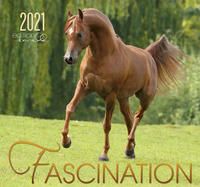 Fascination 2021