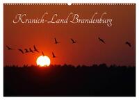 Kranich-Land Brandenburg (Wandkalender 2025 DIN A2 quer), CALVENDO Monatskalender