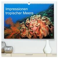 Impressionen tropischer Meere (hochwertiger Premium Wandkalender 2025 DIN A2 quer), Kunstdruck in Hochglanz