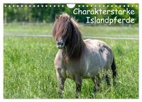 Charakterstarke Islandpferde (Wandkalender 2025 DIN A4 quer), CALVENDO Monatskalender