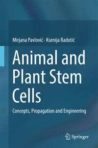 Animal and Plant Stem Cells