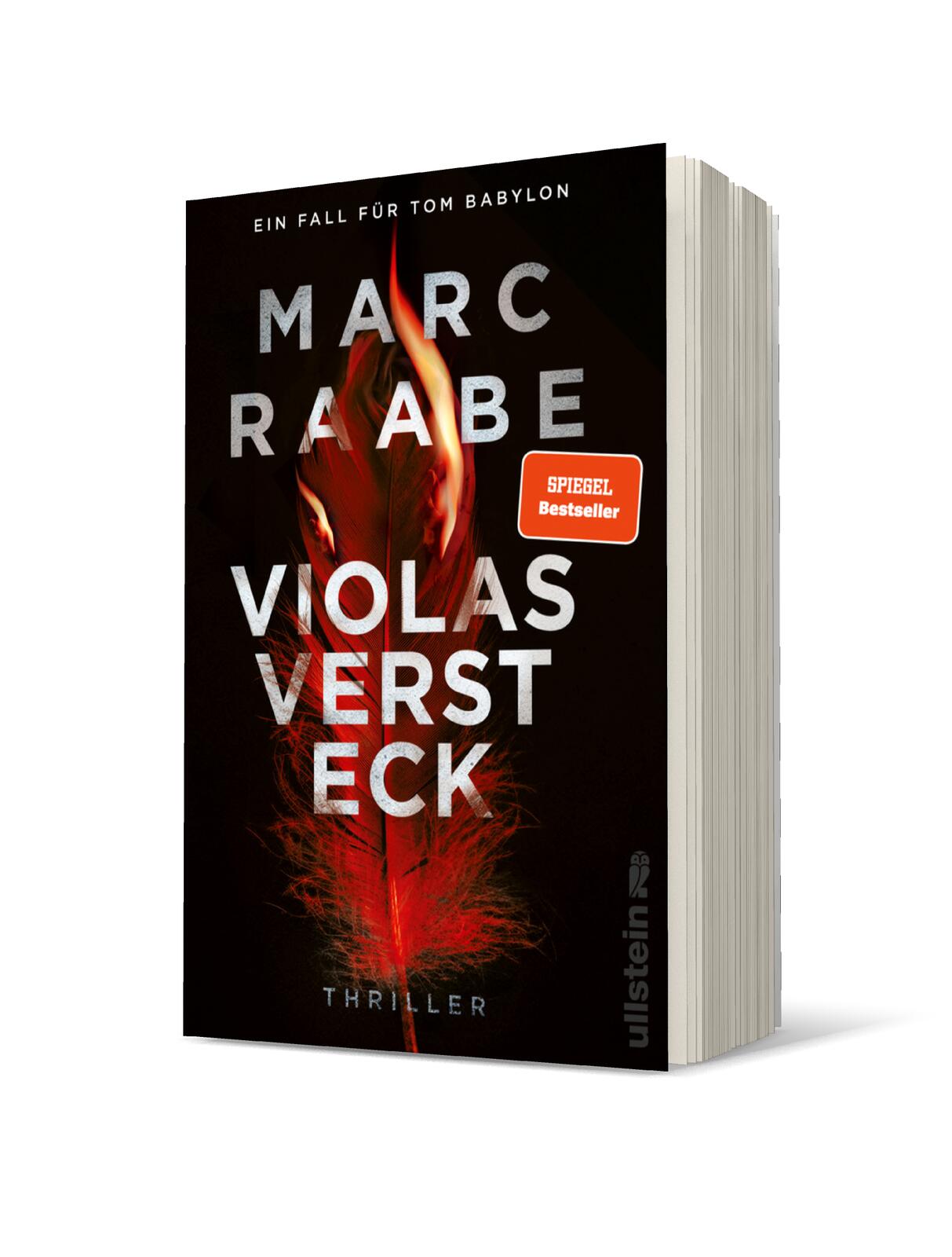 Violas Versteck (Tom-Babylon-Serie 4)