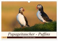 Papageitaucher - Puffins (Wandkalender 2025 DIN A3 quer), CALVENDO Monatskalender