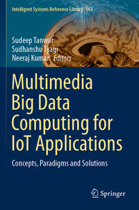 Multimedia Big Data Computing for IoT Applications