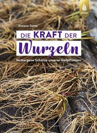 Die Kraft der Wurzeln