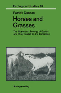 Horses and Grasses