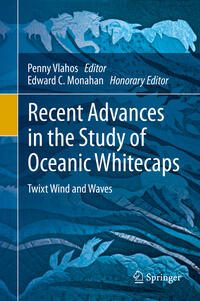 Recent Advances in the Study of Oceanic Whitecaps