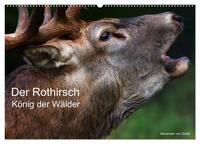 Der Rothirsch, König der Wälder (Wandkalender 2025 DIN A2 quer), CALVENDO Monatskalender