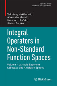 Integral Operators in Non-Standard Function Spaces