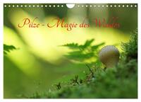 Pilze - Magie des Waldes (Wandkalender 2025 DIN A4 quer), CALVENDO Monatskalender