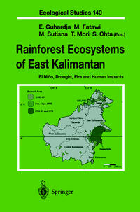 Rainforest Ecosystems of East Kalimantan