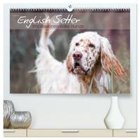 English Setter – Impressionen edler Hunde (hochwertiger Premium Wandkalender 2025 DIN A2 quer), Kunstdruck in Hochglanz