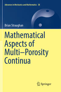 Mathematical Aspects of Multi–Porosity Continua