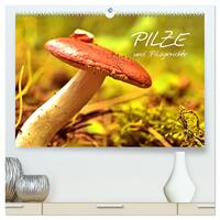 Pilze und Pilzgerichte (hochwertiger Premium Wandkalender 2025 DIN A2 quer), Kunstdruck in Hochglanz