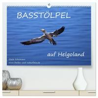 Basstölpel auf Helgoland (hochwertiger Premium Wandkalender 2025 DIN A2 quer), Kunstdruck in Hochglanz