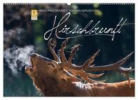 Emotionale Momente: Hirschbrunft (Wandkalender 2025 DIN A2 quer), CALVENDO Monatskalender