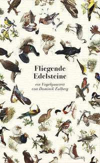 Fliegende Edelsteine