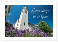 Gottmadingen im Hegau (Wandkalender 2025 DIN A2 quer), CALVENDO Monatskalender