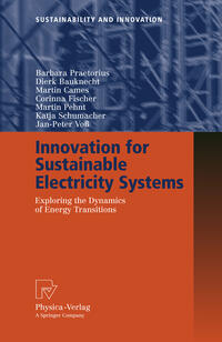 Innovation for Sustainable Electricity Systems