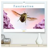 Faszination Insektenflug (hochwertiger Premium Wandkalender 2025 DIN A2 quer), Kunstdruck in Hochglanz