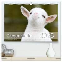 Ziegenkinder (hochwertiger Premium Wandkalender 2025 DIN A2 quer), Kunstdruck in Hochglanz