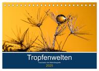 Tropfenwelten; Faszination der Makrofotografie (Tischkalender 2025 DIN A5 quer), CALVENDO Monatskalender