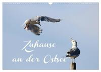 Zuhause an der Ostsee (Wandkalender 2025 DIN A3 quer), CALVENDO Monatskalender