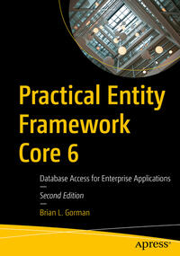 Practical Entity Framework Core 6