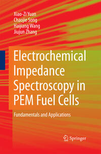 Electrochemical Impedance Spectroscopy in PEM Fuel Cells