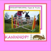 Kaninhop !