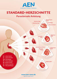 Standard-Herzschnitte Echokardiografie