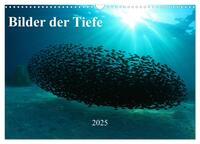 Bilder der Tiefe 2025 (Wandkalender 2025 DIN A3 quer), CALVENDO Monatskalender