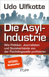 Die Asyl-Industrie