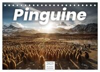 Pinguine - Die sympathischen Frack-Träger (Tischkalender 2025 DIN A5 quer), CALVENDO Monatskalender