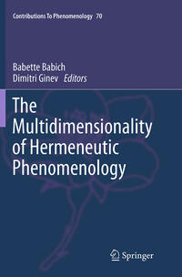 The Multidimensionality of Hermeneutic Phenomenology