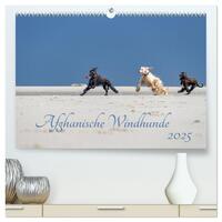 AFGHANISCHE WINDHUNDE 2025 (hochwertiger Premium Wandkalender 2025 DIN A2 quer), Kunstdruck in Hochglanz