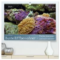 Bunte Riffbewohner - Fische, Anemonen und noch viel mehr (hochwertiger Premium Wandkalender 2025 DIN A2 quer), Kunstdruck in Hochglanz