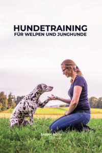 Hundetraining für Welpen und Junghunde