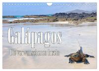 Galápagos - Die verwunschenen Inseln (Wandkalender 2025 DIN A4 quer), CALVENDO Monatskalender