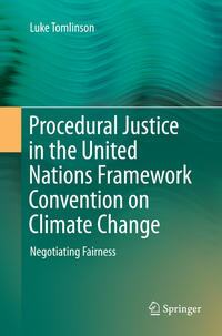 Procedural Justice in the United Nations Framework Convention on Climate Change