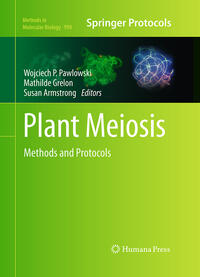 Plant Meiosis