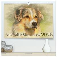 Australian Shepherds 2025 (hochwertiger Premium Wandkalender 2025 DIN A2 quer), Kunstdruck in Hochglanz