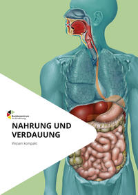 Nahrung und Verdauung - Wissen kompakt